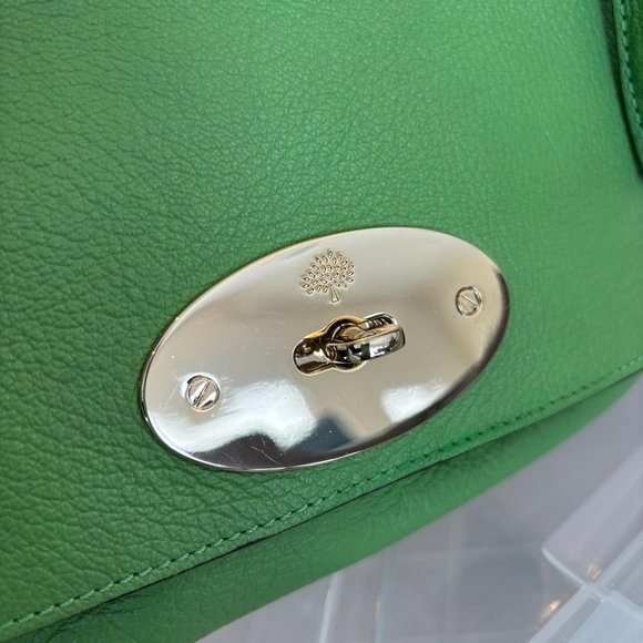 BNWT Mulberry Lily Glossy Goat bag in Grass Green - Picture 3 of 9
